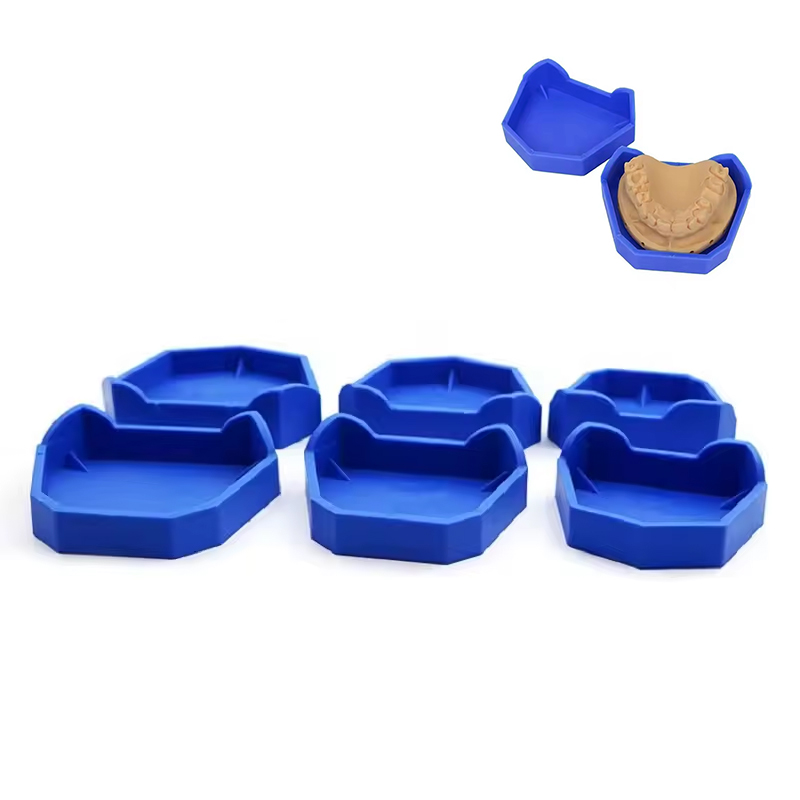 Teeth Whitening Tray - 2/6Pcs Dental Model Base Silicon Plaster