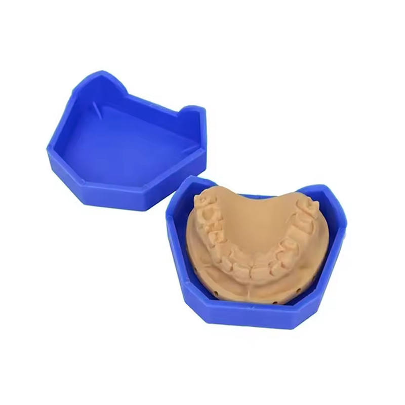 2/6Pcs Dental Model Base Silic - Teeth Whitening Tray recension och pris