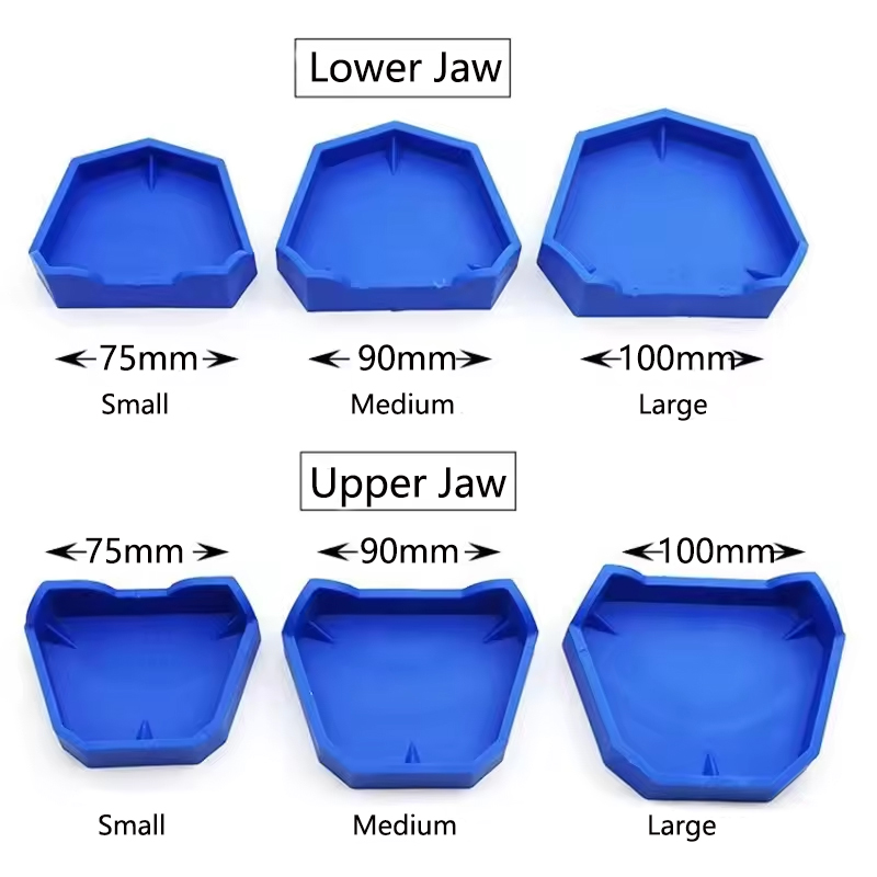 2/6Pcs Dental Model Base Silic - Teeth Whitening Tray recension och pris