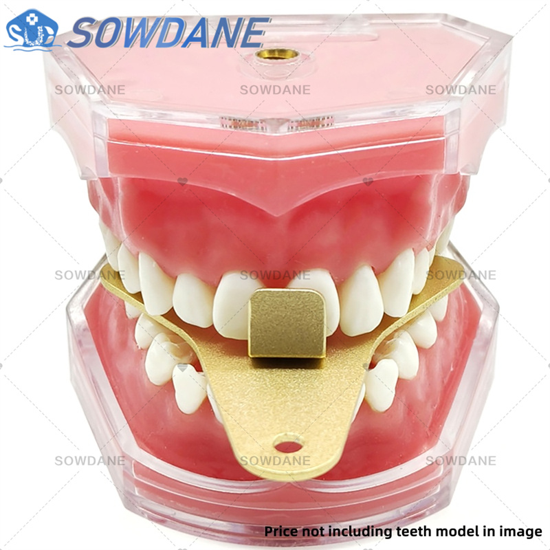 Dental Lab Impression Trays to - Teeth Whitening Tray recension och pris