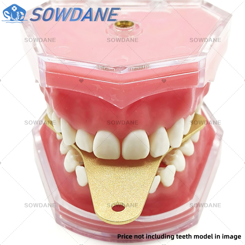 Dental Lab Impression Trays to - Teeth Whitening Tray recension och pris