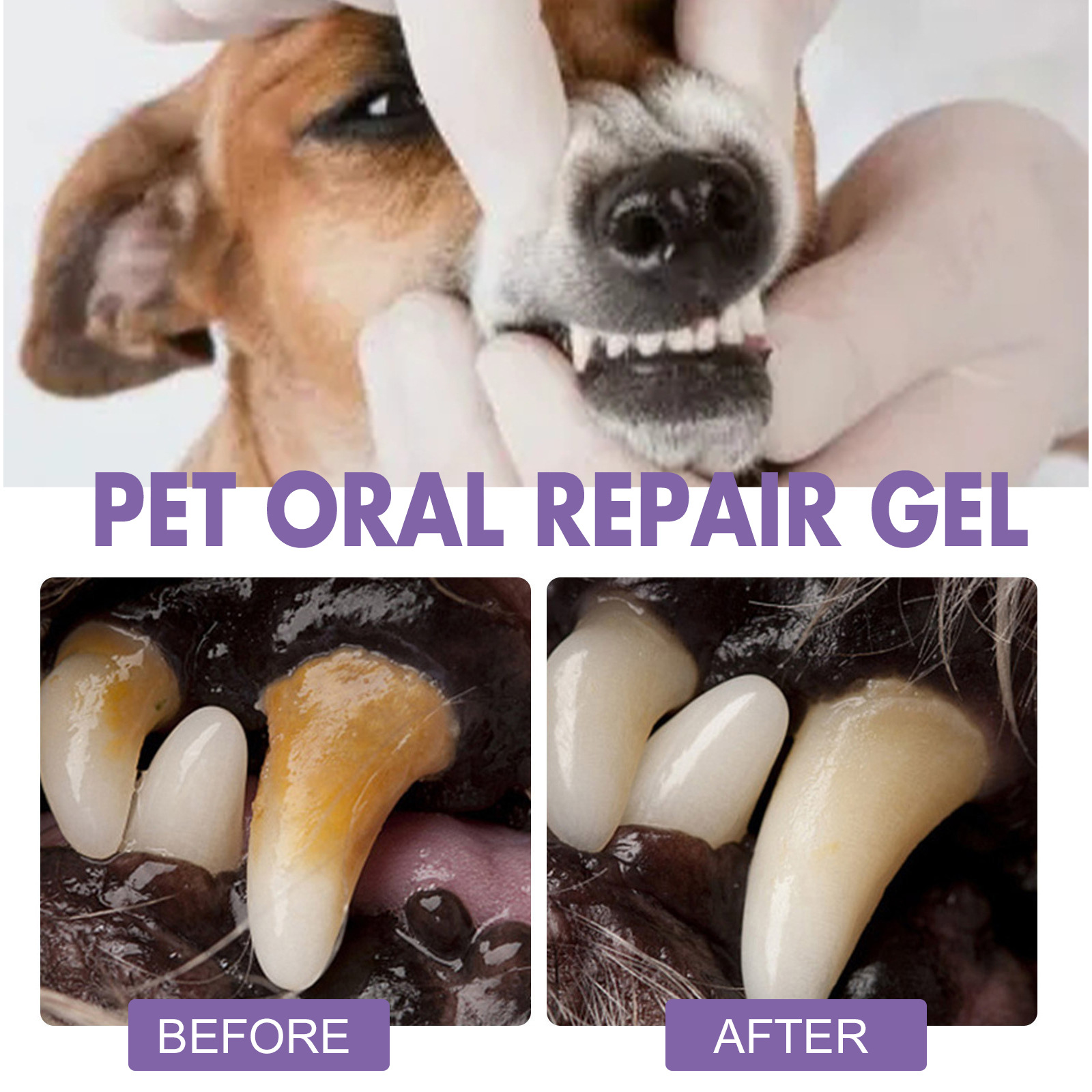 Pet Oral Repair Gel Puppy Tart - Teeth Whitening Levels recension och pris