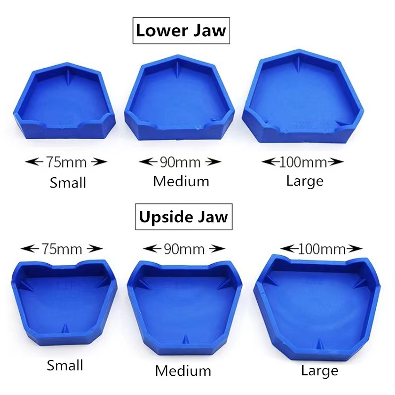 6pcs/set Dental Model Base Sil - Teeth Whitening Tray recension och pris