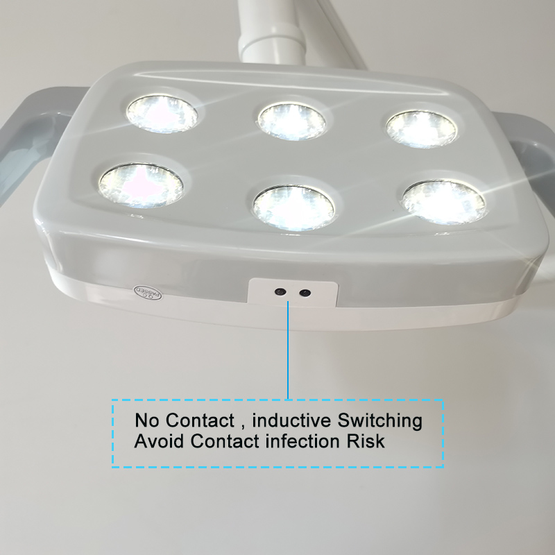 6LED Dental LED Lamp Oral Ligh - Teeth Whitening Dental recension och pris